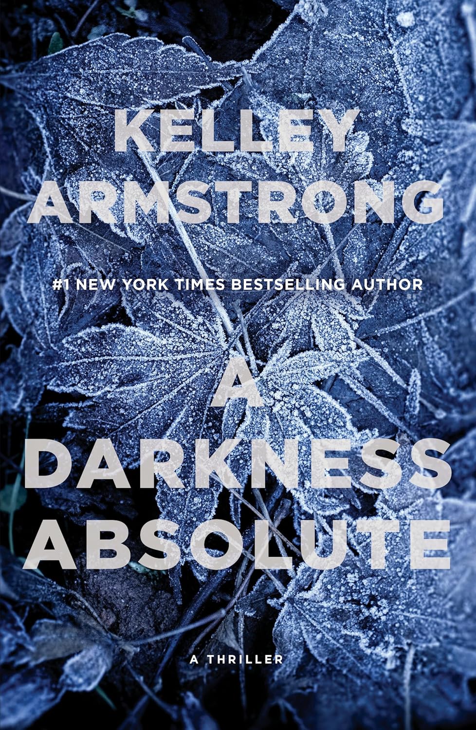 A Darkness Absolute Paperback & eBook Canada cover